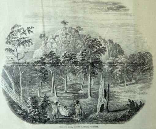 29-481  Dryden’s Rock Mount Macedon  c.1867