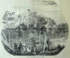 29-481  Dryden's Rock Mount Macedon  c.1867