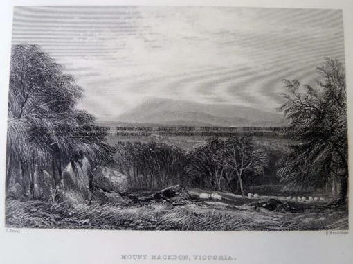 29-482  Mt Macedon  c.1873