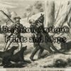 29-490 - Victoria - Benalla Anon - circa 1874 Wood engraving 23cm X 17cm Condition A+