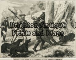 29-490 - Victoria - Benalla Anon - circa 1874 Wood engraving 23cm X 17cm Condition A+