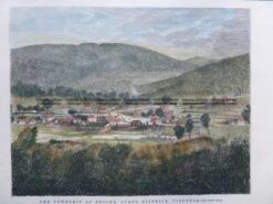 29-495  Bright Township  c.1878