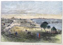 29-501  Port Arlington  c.1879