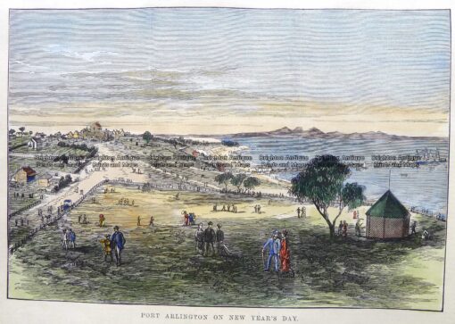 29-501  Port Arlington  c.1879