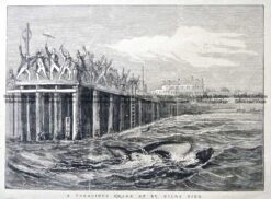 3-137  St Kilda- shark attack  c.1878