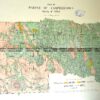 3-817  Victoria - Parish of Campbelltown  c.1907