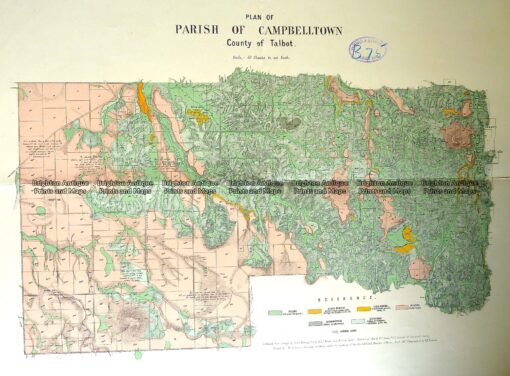 3-817  Victoria – Parish of Campbelltown  c.1907