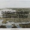 30-352 - Sydney - birds eye view earliest printed in colour Collins - circa 1874 Chromolithograph 23cm X 18cm Condition A