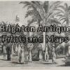 30-355 - Sydney - Botanical Gardens Anon - circa 1879 Wood engraving 32cm X 23cm Condition A+