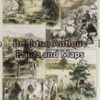 31-440 - Queensland - Queensland sketches Anon - circa 1880 Hand coloured wood engraving 13cm X 32cm Condition A+