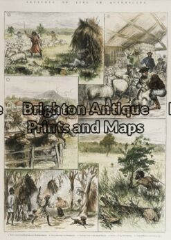 31-440 - Queensland - Queensland sketches Anon - circa 1880 Hand coloured wood engraving 13cm X 32cm Condition A+