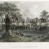 31-443 - Queensland - Baines River T Baines - circa 1873 Hand coloured steel engraving 19cm X 13cm Condition A+