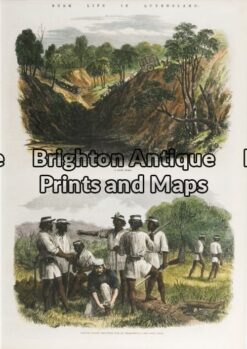 31-444 - Queensland - Bush life in Queensland Anon - circa 1863 Hand coloured wood engraving 24cm X 34cm Condition A+