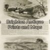 32-382 - Western Australia - Rural Scenes Anon - circa 1857 Wood engraving 24cm X 36cm Condition A+