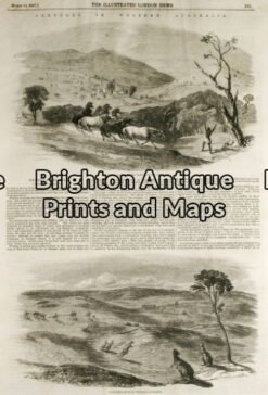 32-382 - Western Australia - Rural Scenes Anon - circa 1857 Wood engraving 24cm X 36cm Condition A+