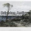 32-390 - Tasmania - Maria Island S Prout - circa 1873 Hand coloured steel engraving 17cm X 12cm Condition A+
