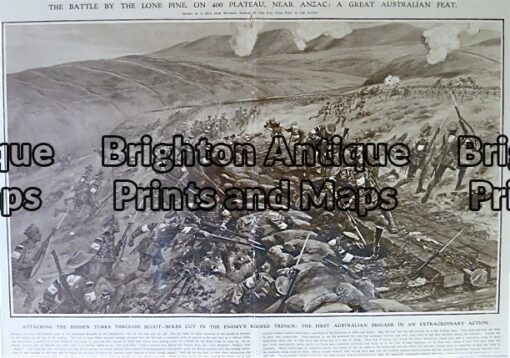 33-033  ANZAC at Lone Pine France in 1915