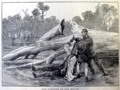 78-025 Bushranger - Ned Kelly capture  c.1880