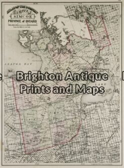 8-186 - Canada - Simcoe Ontario Anon - circa 1880 Chromolithograph 22cm X 38cm Condition A+