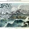 9-131  Cape Woolamai Phillip Island c.1872