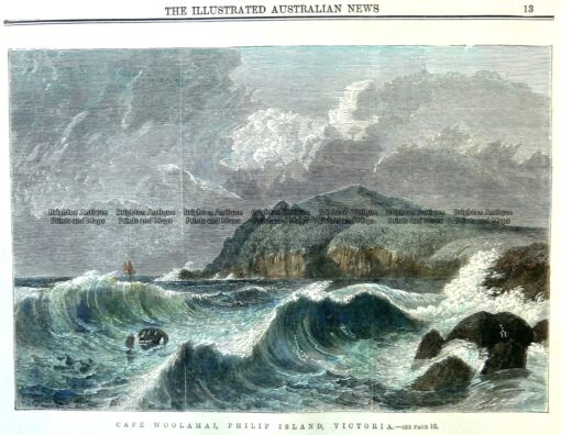 9-131  Cape Woolamai Phillip Island c.1872