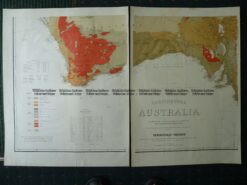 9-971  Geological map of Australia by Everett c.1887