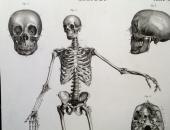 Medical