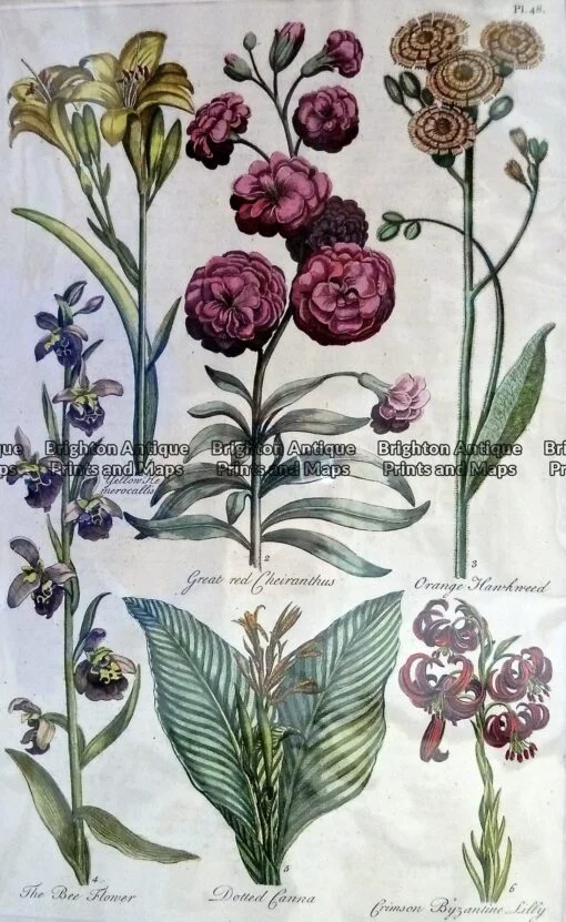 p1050996