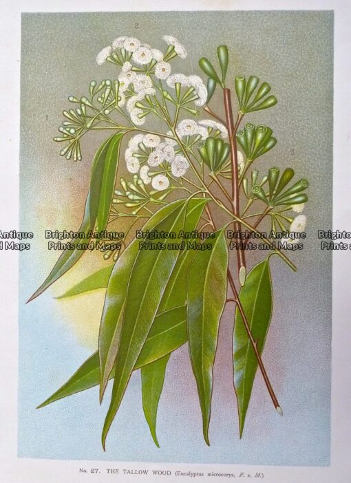 p1060027