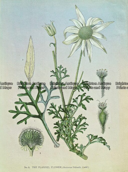 p1060031