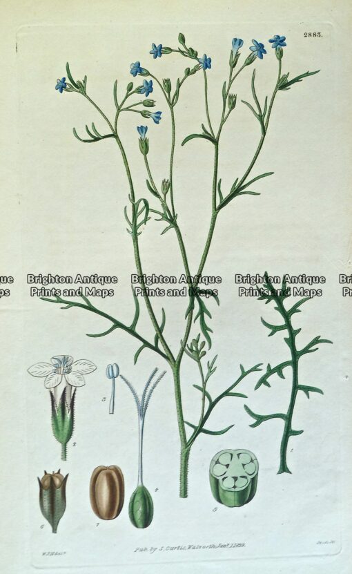 p1060039