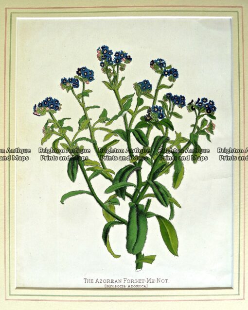 P1060668