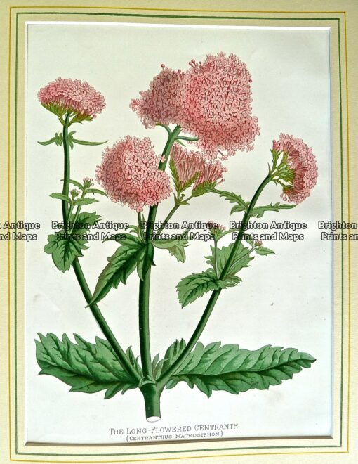 P1060671