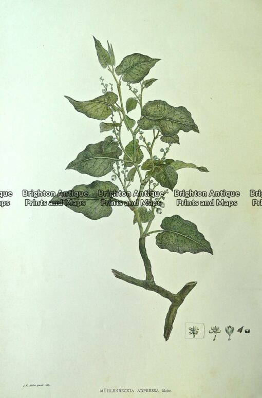 P1080045