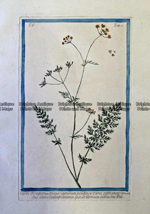 P1080101