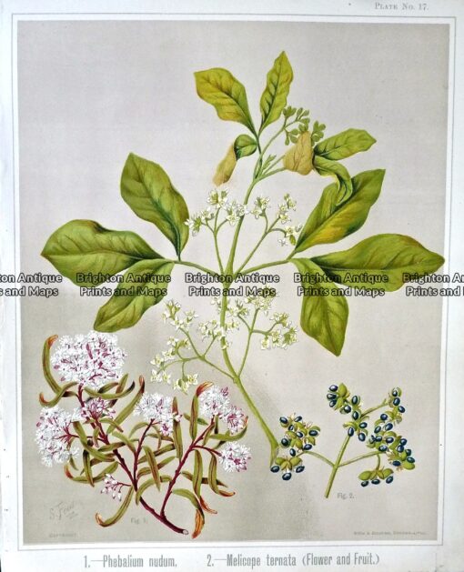 P1100287