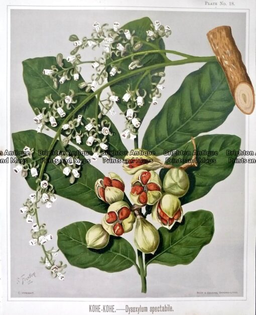 P1100292