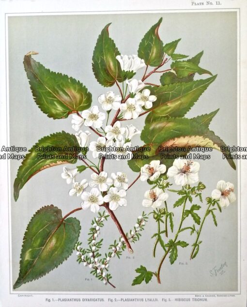 P1100296