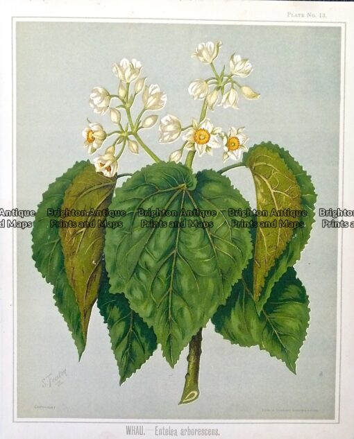 P1100300