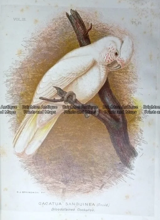 P1100319