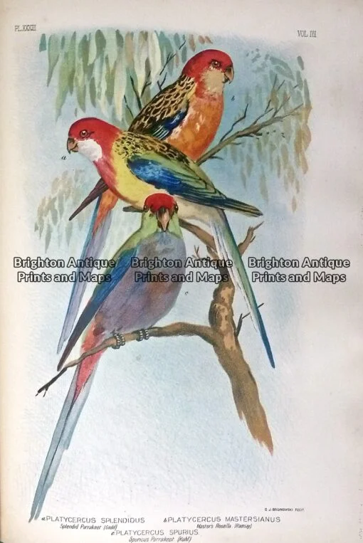 P1100333