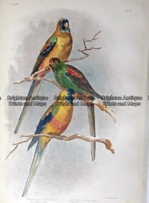 P1100336