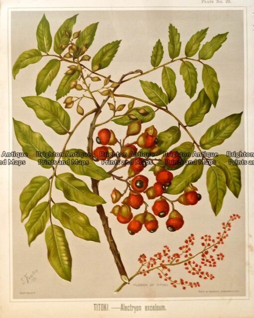 P1100439