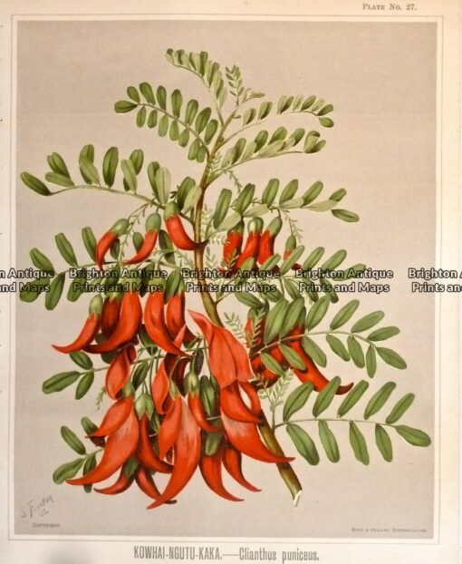 P1100440