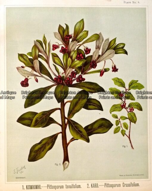 P1100441