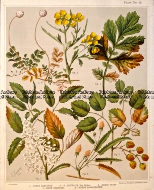P1100451