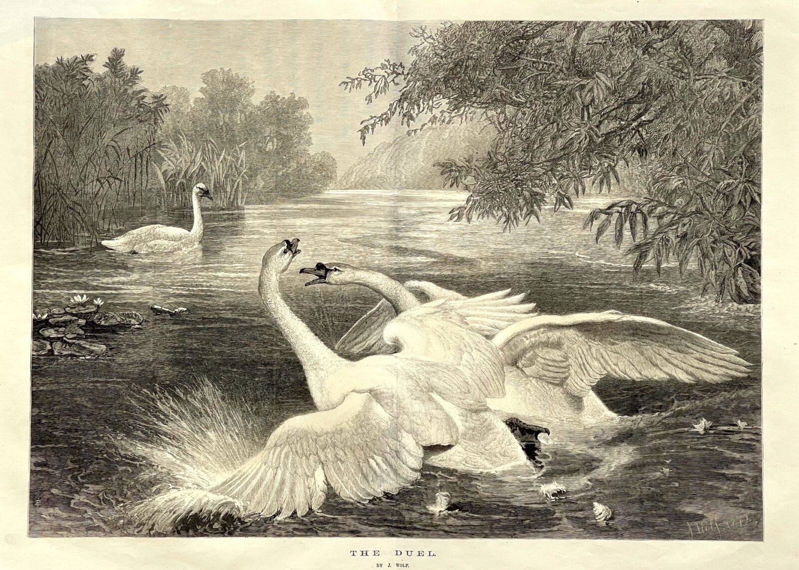 Brighton Antique Prints and Maps