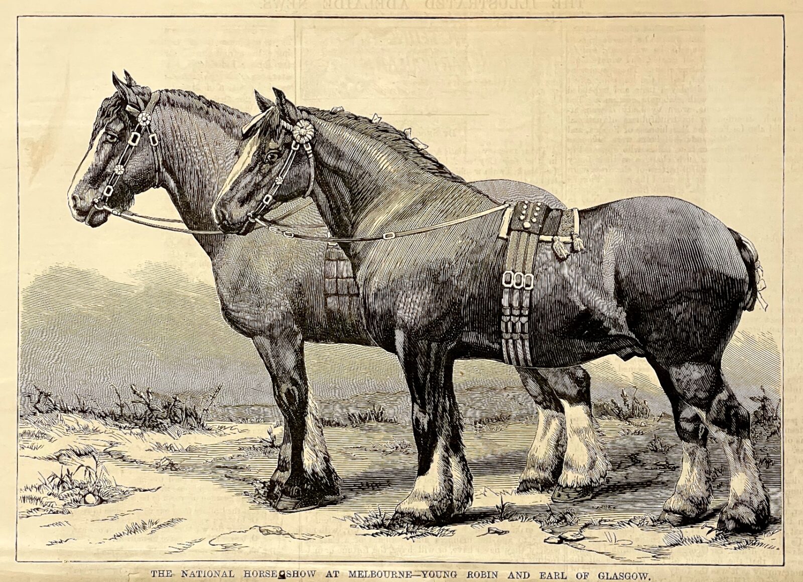 Brighton Antique Prints and Maps