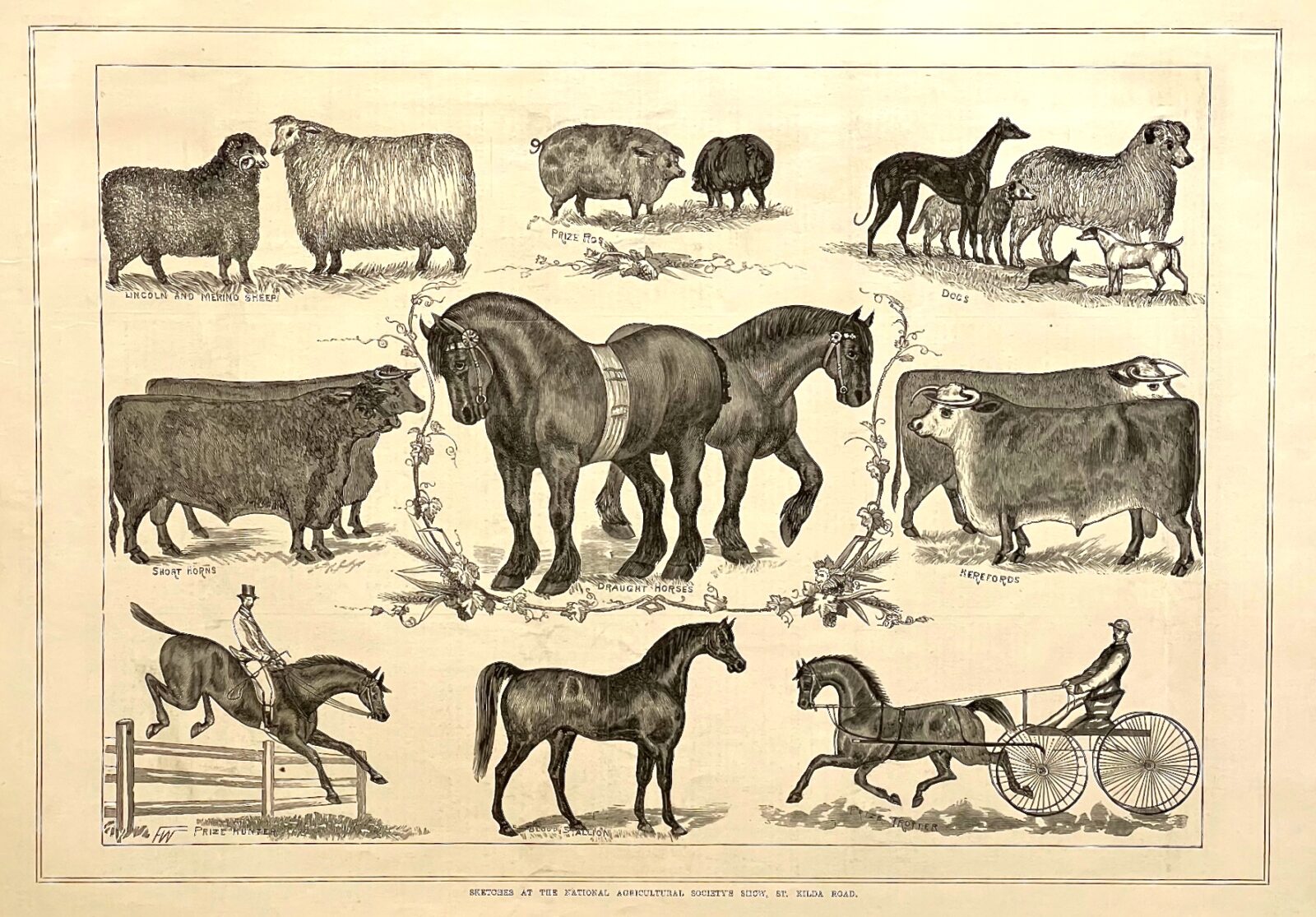 Brighton Antique Prints and Maps