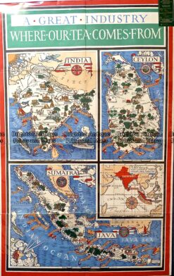 Antique map - Source of Tea in Asia by MacDonald Gill c.1937.  Ref:  789-020